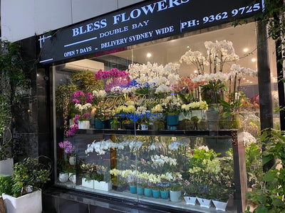 Flowers That Will Brighten Up Your Day - The Best Sydney Florist for Flower Arrangements