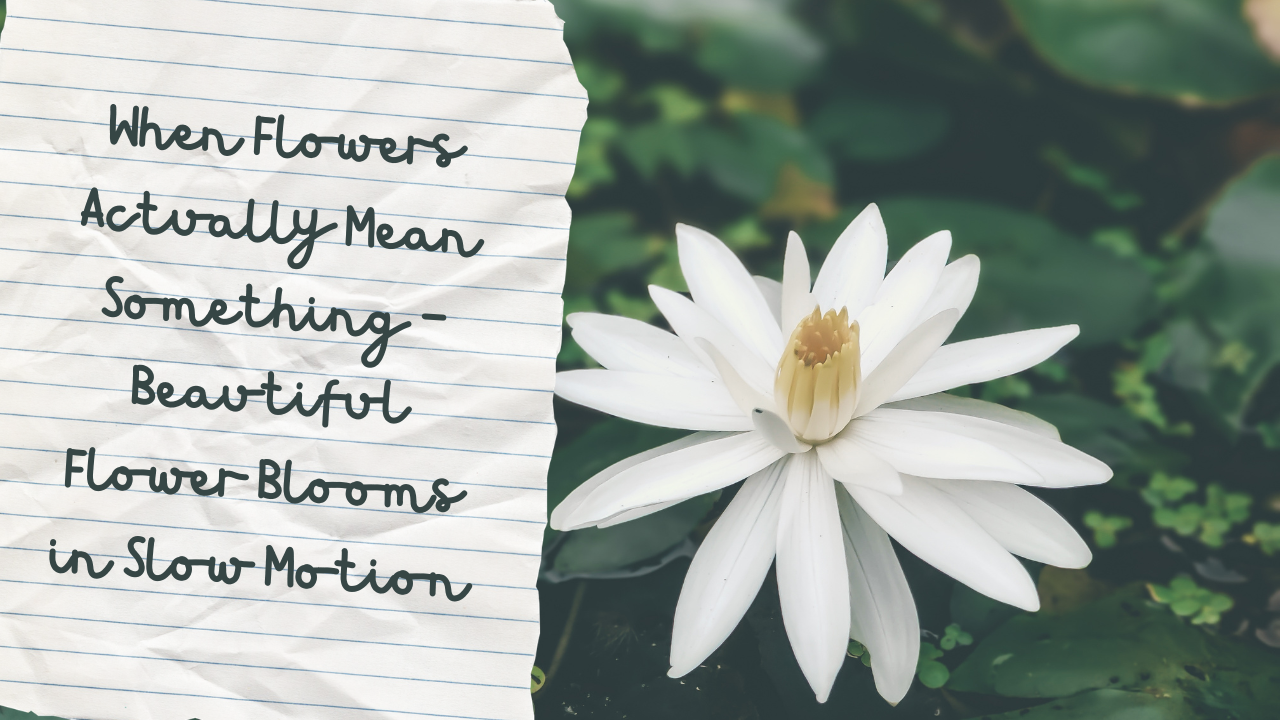 When Flowers Actually Mean Something
