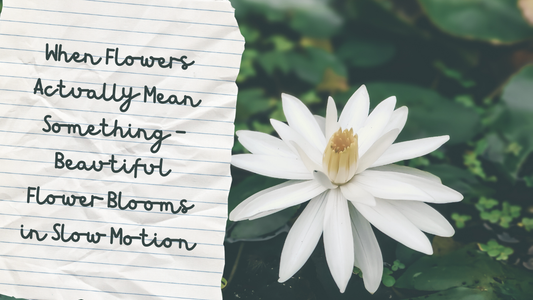 When Flowers Actually Mean Something