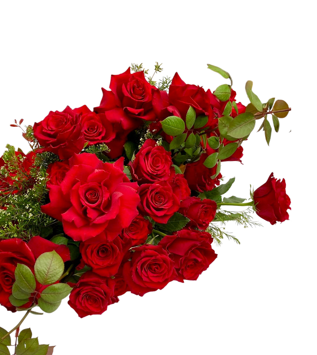 Classic Roses - Eternal Romance