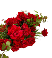 Classic Roses - Eternal Romance