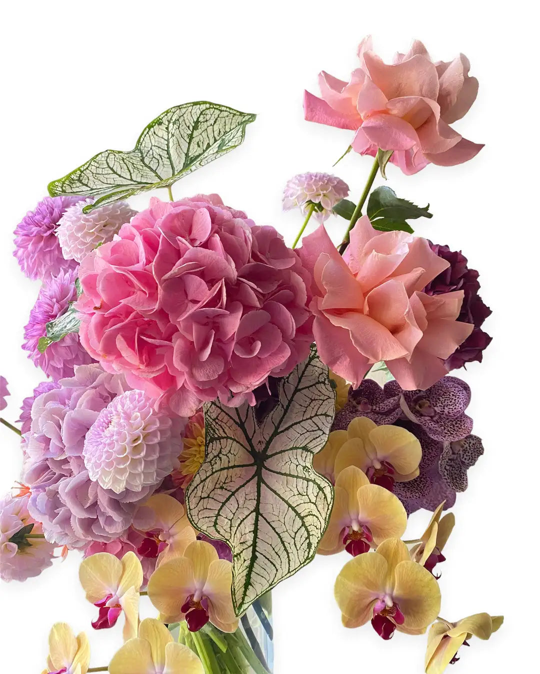 Flower Delivery | Sydney CBD  Main image