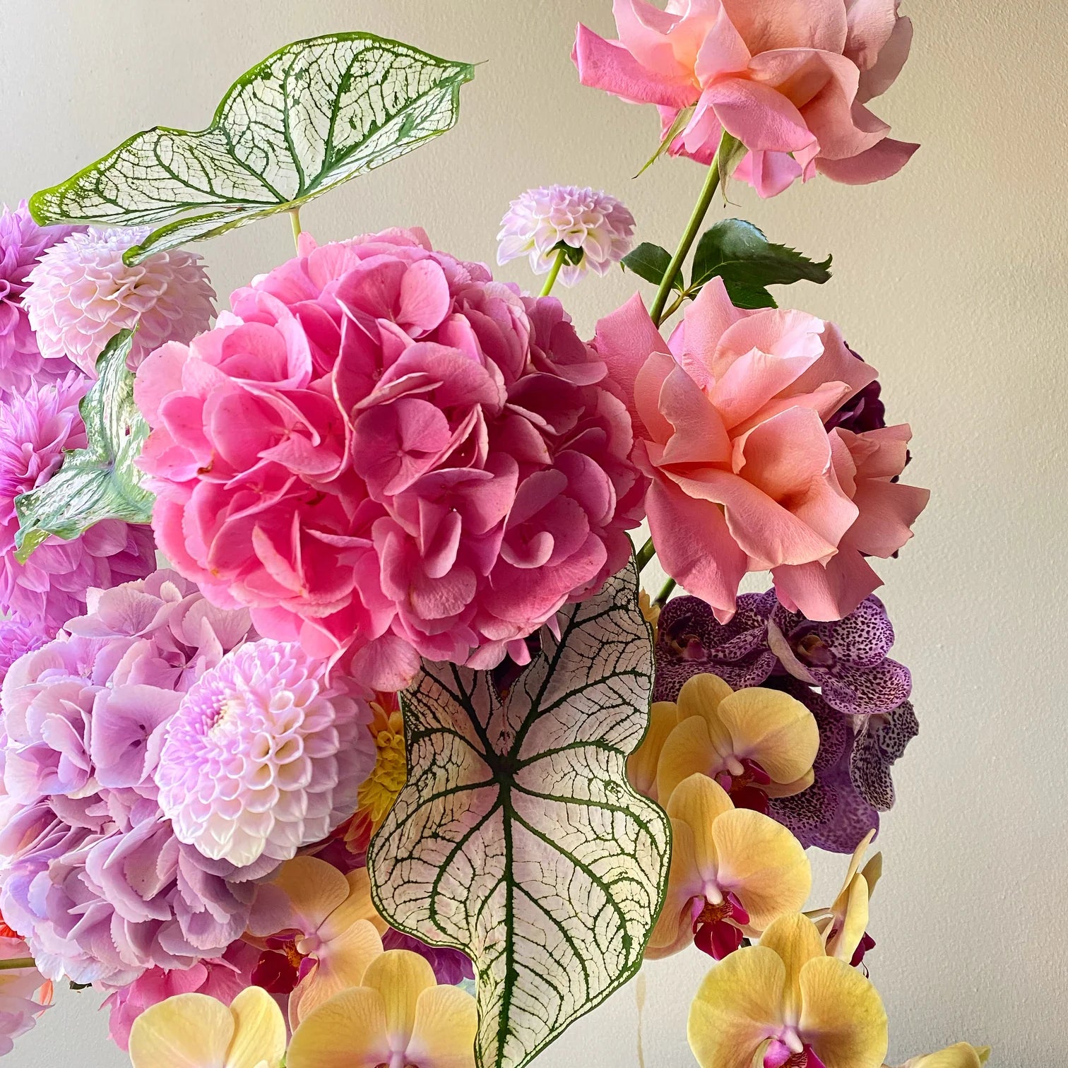 Valentine's Day flowers Edgecliff Florist Bless Flowers